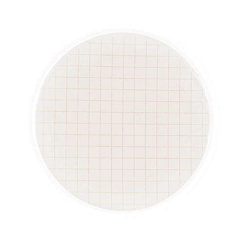 
                  
                    Load image into Gallery viewer, Filter Monitor Sterile MCE Gridded Pore Size .45µm
                  
                
